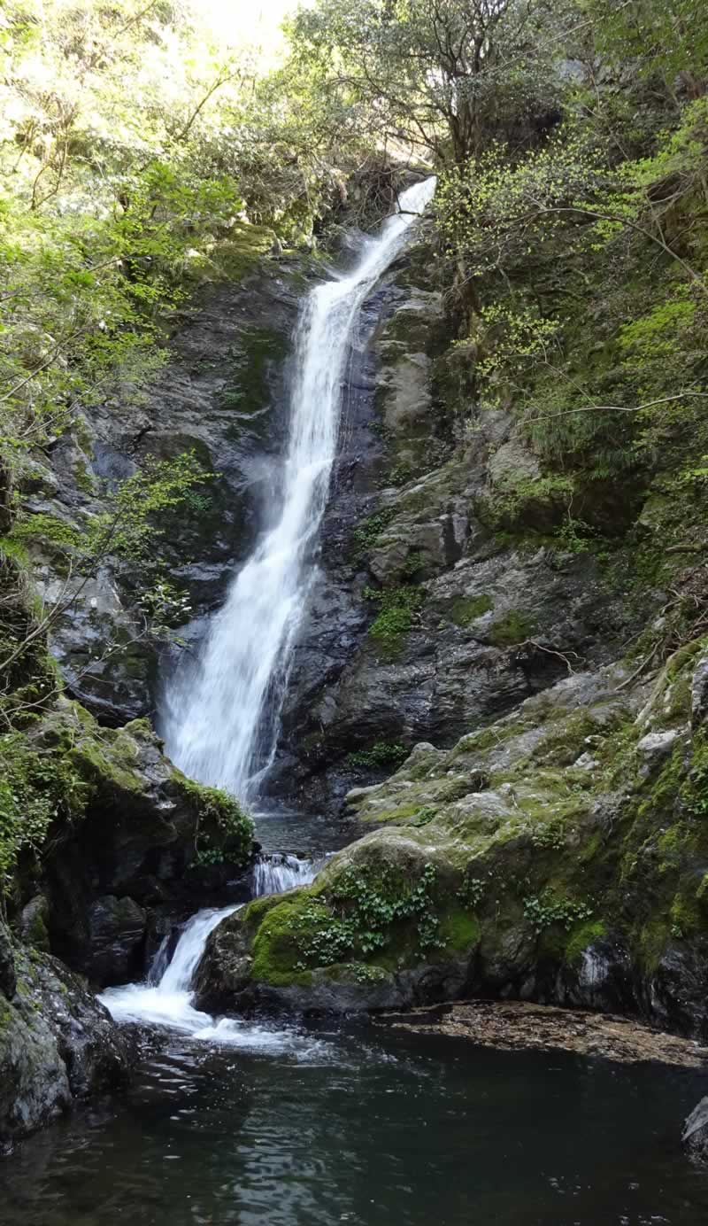 野鹿の滝